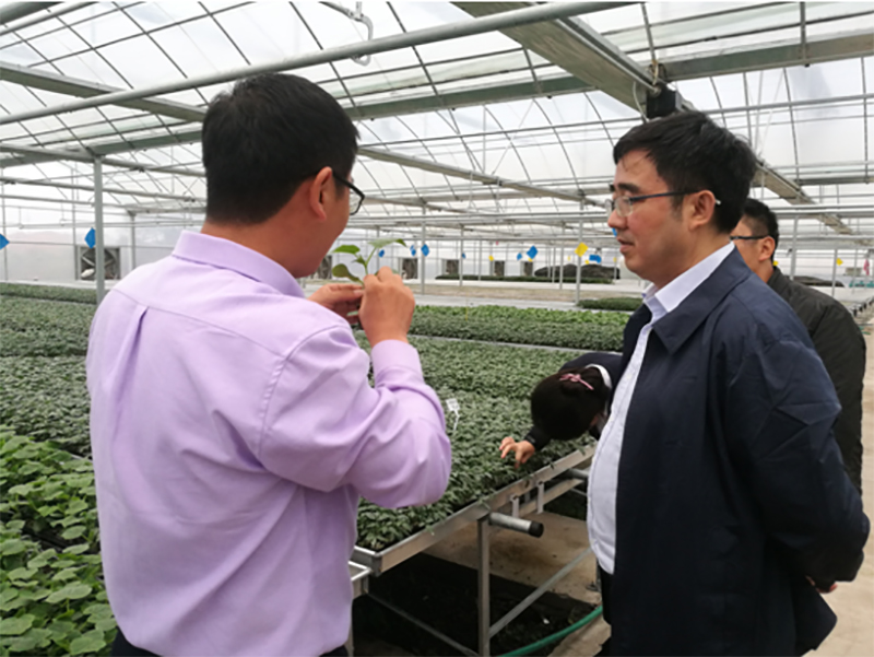 20181101.jpg 20181101.jpg