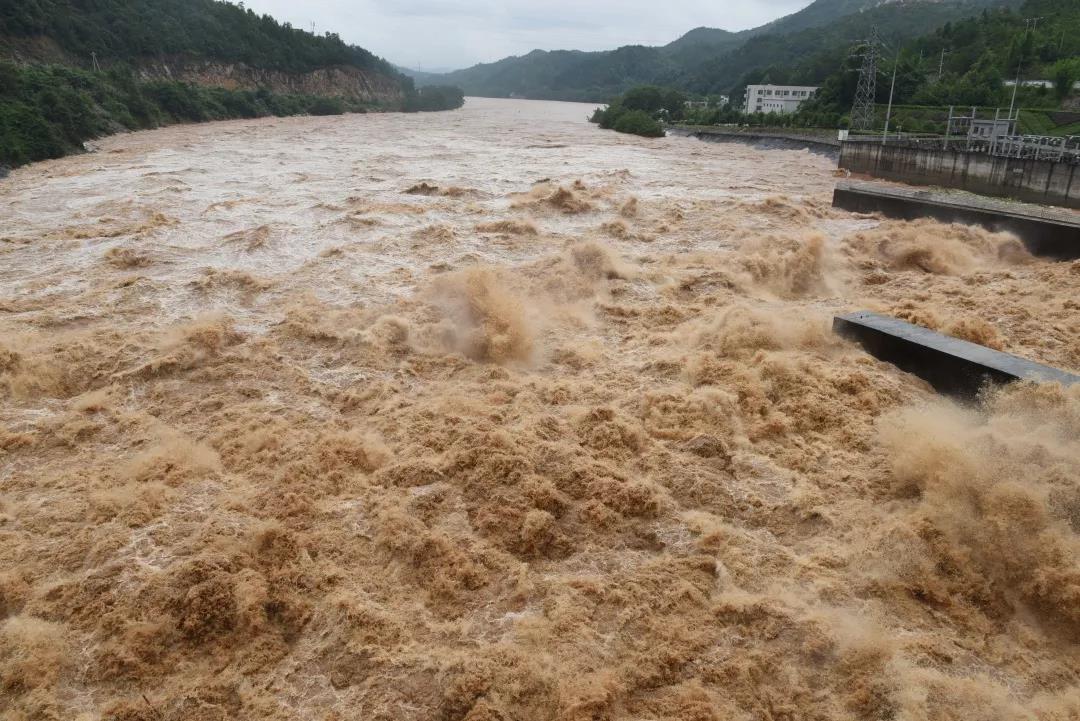 20190614094444.jpg 20190614094444.jpg