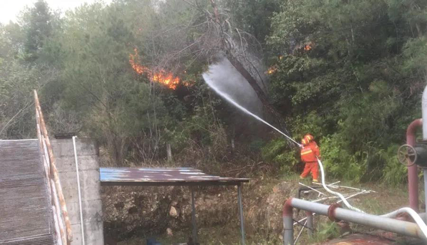 微信图片_20200304093700.jpg 微信图片_20200304093700.jpg