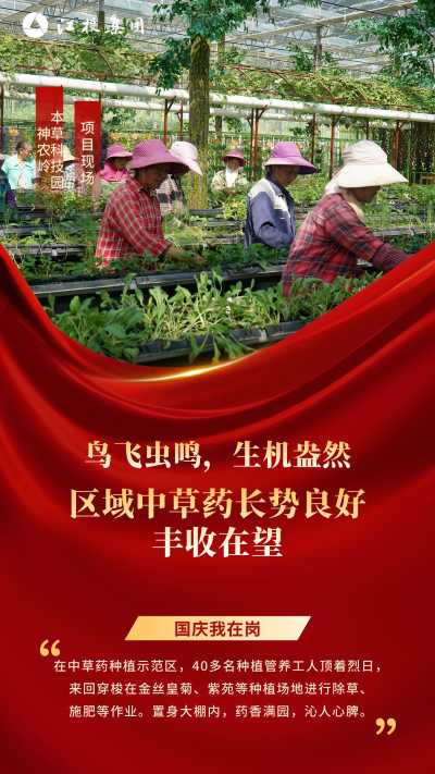 国庆3.png 国庆3.png